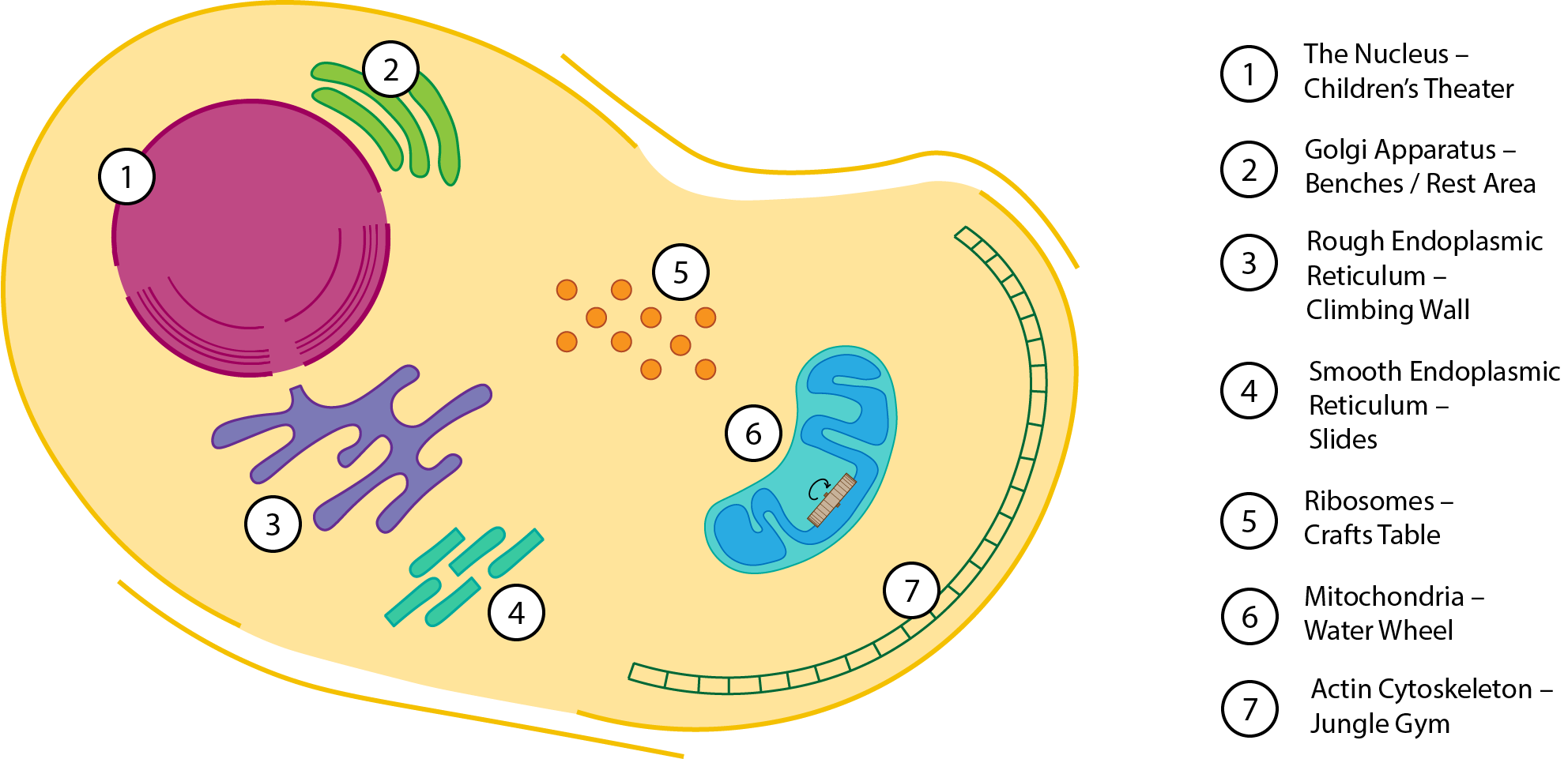 Cell playground illustration