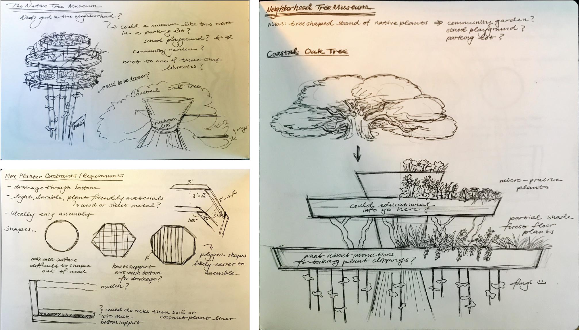 Ideation sketches.