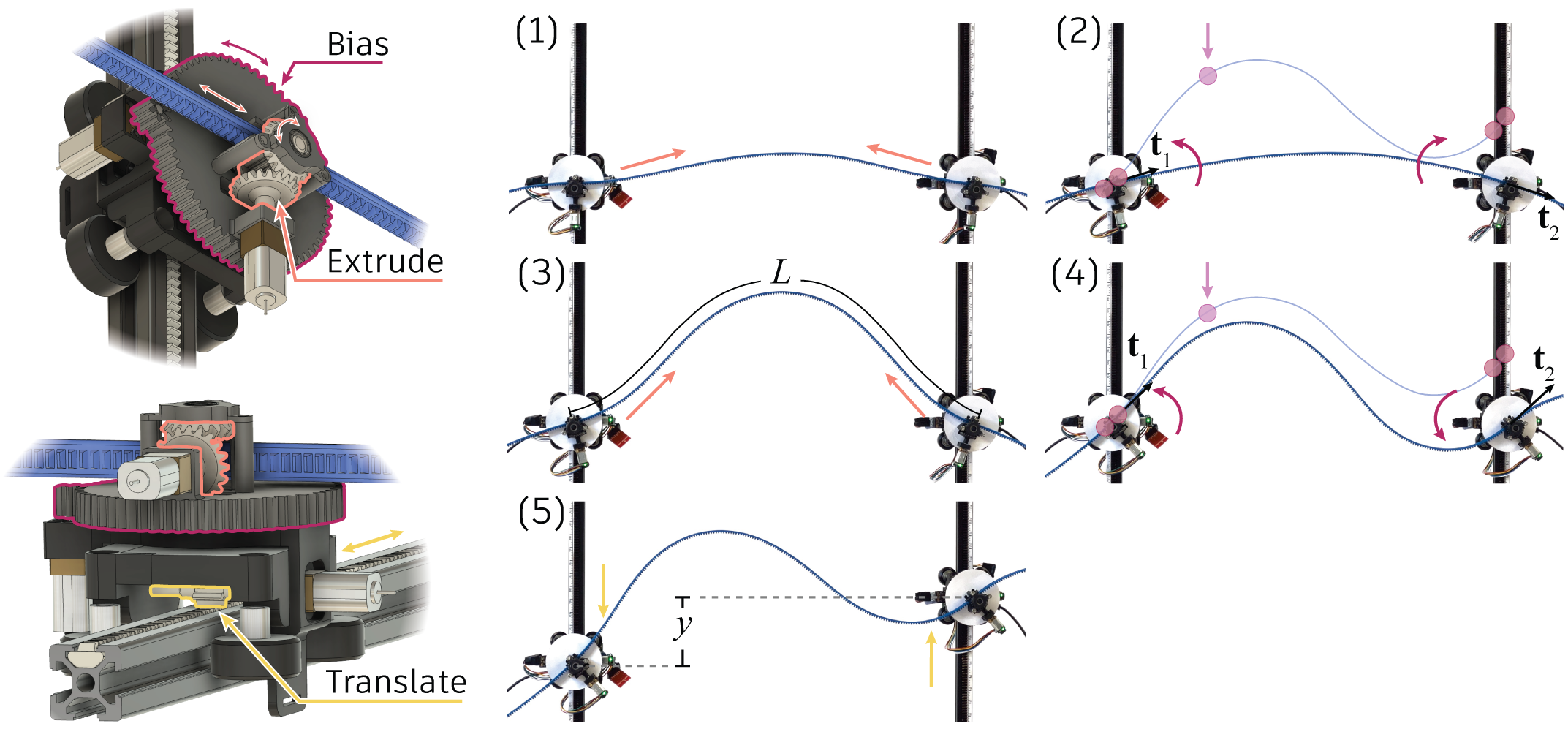 Top left image indicates the node mechanical hardware for biasing and extruding. Bottom left image indicates the node mechanical hardware for translating. Right column shows the steps of actuation, described below in the caption.